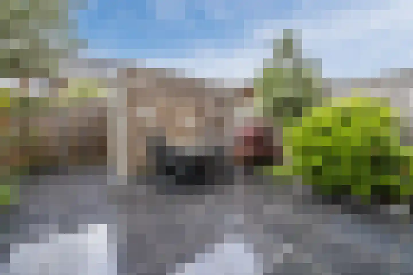Napoleonshoed 21 Oosterhout thumbnail 39