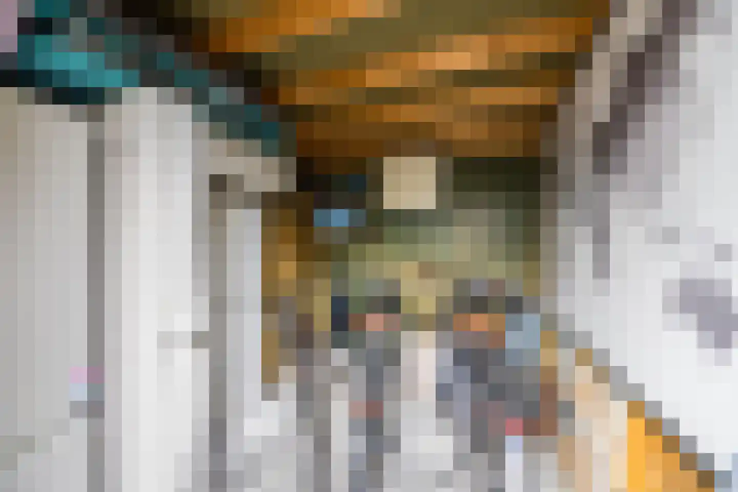 Napoleonshoed 21 Oosterhout thumbnail 41
