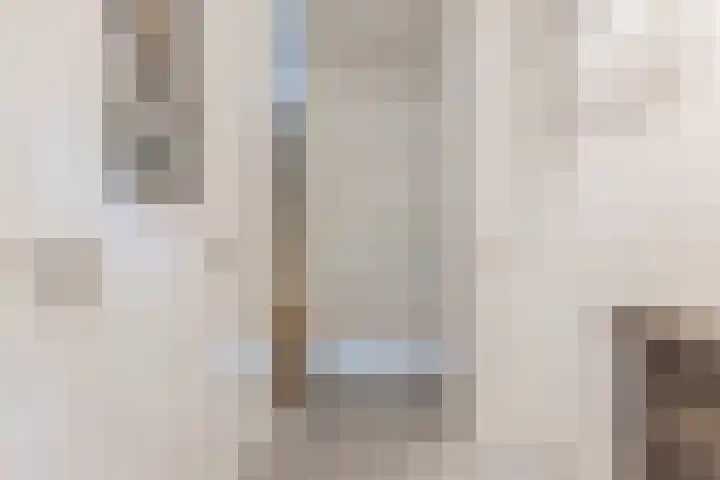 Napoleonshoed 7 Oosterhout thumbnail 10