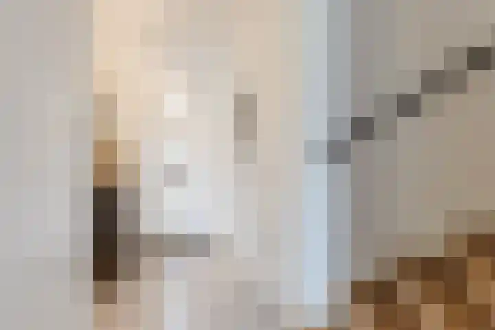 Napoleonshoed 7 Oosterhout thumbnail 11