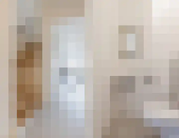 Napoleonshoed 7 Oosterhout thumbnail 12