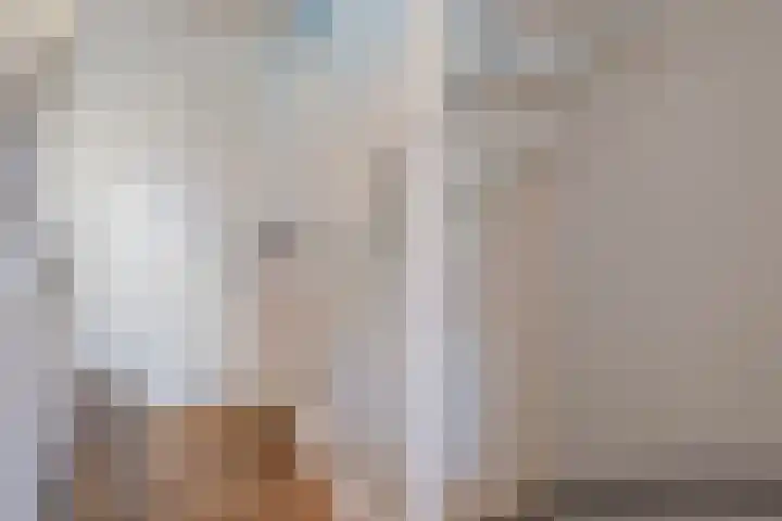 Napoleonshoed 7 Oosterhout thumbnail 13