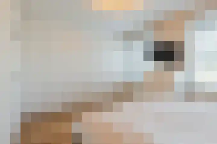 Napoleonshoed 7 Oosterhout thumbnail 15