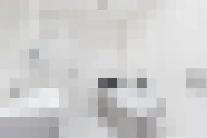 Napoleonshoed 7 Oosterhout thumbnail 18