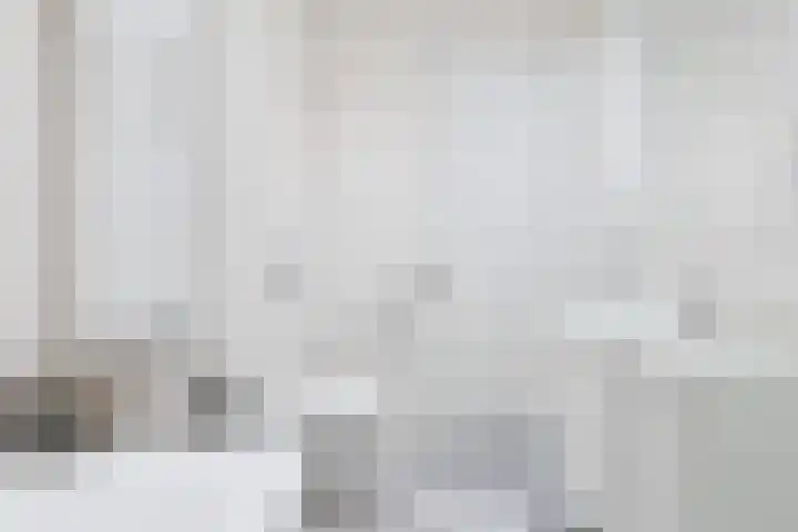 Napoleonshoed 7 Oosterhout thumbnail 19