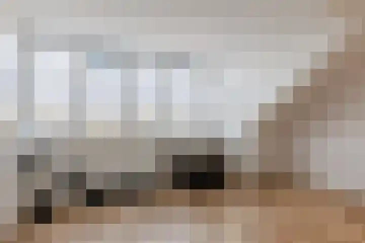 Napoleonshoed 7 Oosterhout thumbnail 21