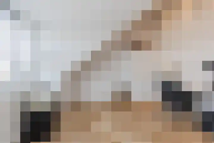 Napoleonshoed 7 Oosterhout thumbnail 22