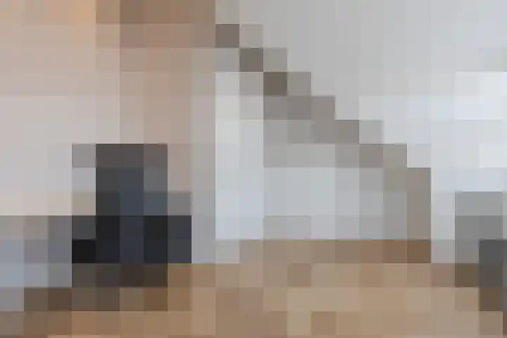 Napoleonshoed 7 Oosterhout thumbnail 23