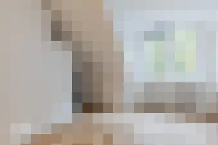 Napoleonshoed 7 Oosterhout thumbnail 24