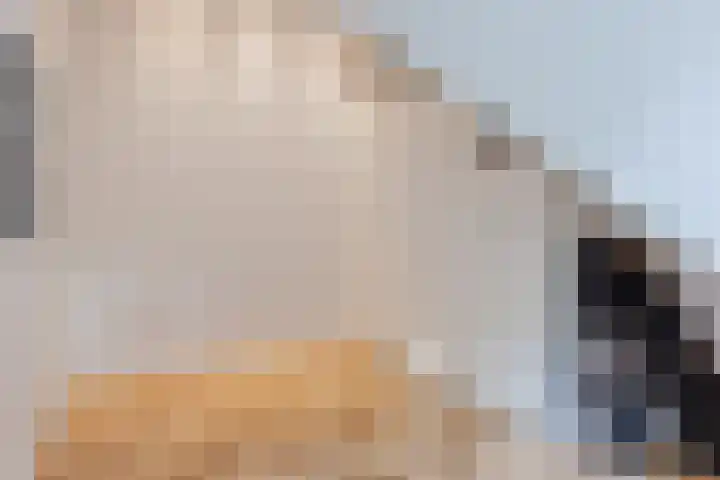 Napoleonshoed 7 Oosterhout thumbnail 25
