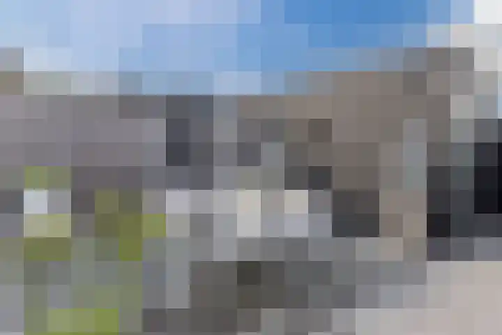 Napoleonshoed 7 Oosterhout thumbnail 26