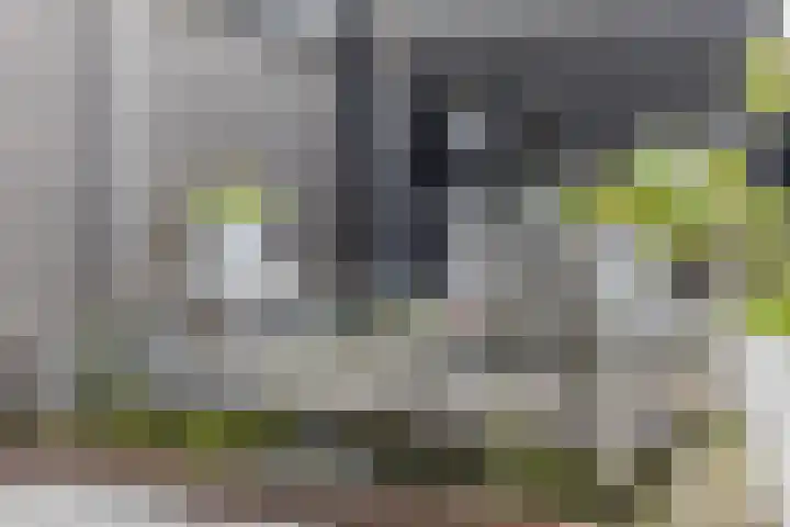 Napoleonshoed 7 Oosterhout thumbnail 27