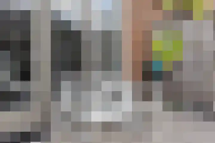 Napoleonshoed 7 Oosterhout thumbnail 29