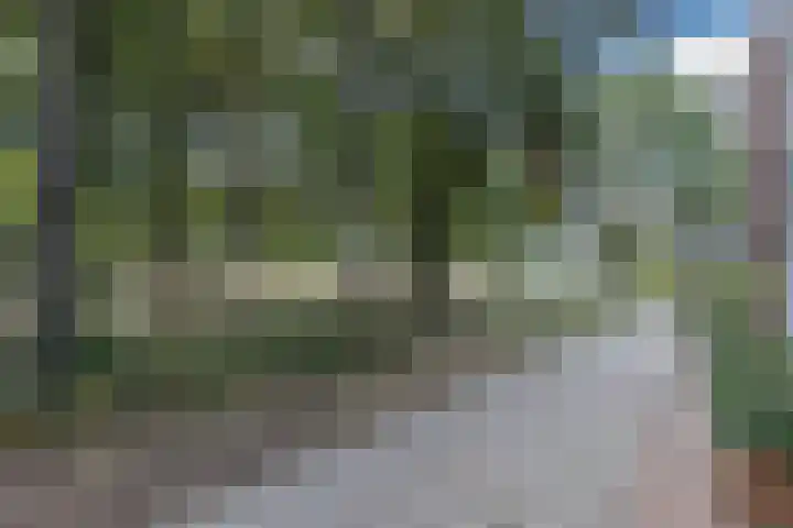Napoleonshoed 7 Oosterhout thumbnail 32