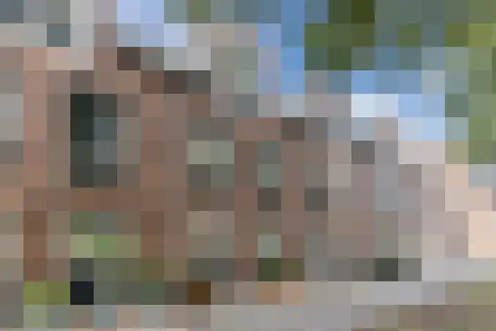 Napoleonshoed 7 Oosterhout thumbnail 33