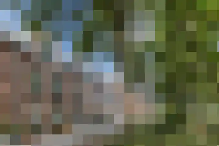 Napoleonshoed 7 Oosterhout thumbnail 34