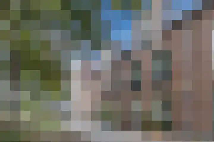 Napoleonshoed 7 Oosterhout thumbnail 35