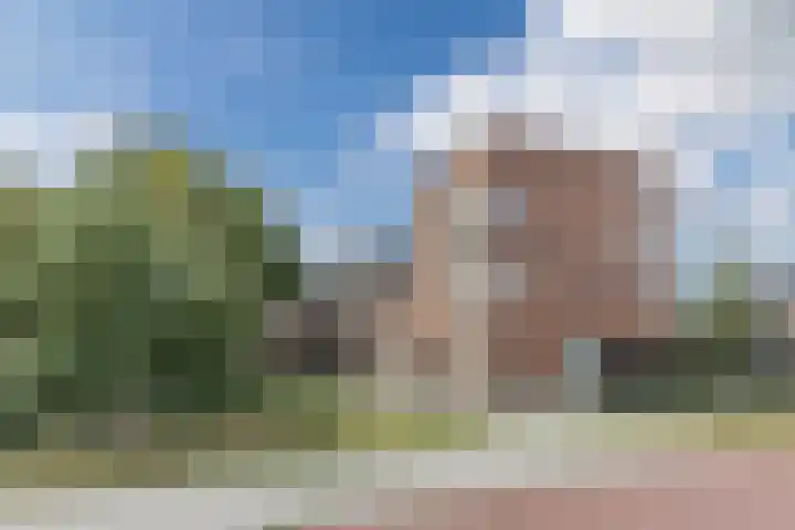 Napoleonshoed 7 Oosterhout thumbnail 36