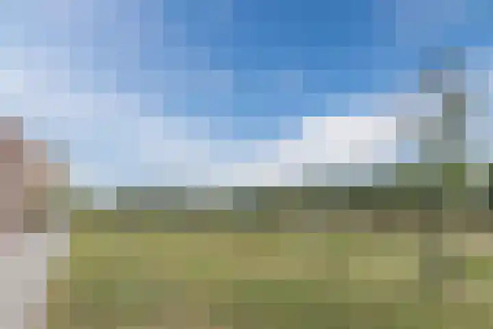 Napoleonshoed 7 Oosterhout thumbnail 37