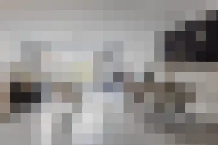 Napoleonshoed 7 Oosterhout thumbnail 4