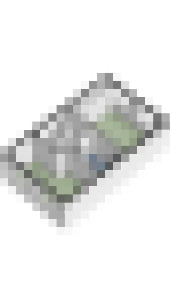Napoleonshoed 7 Oosterhout thumbnail 44