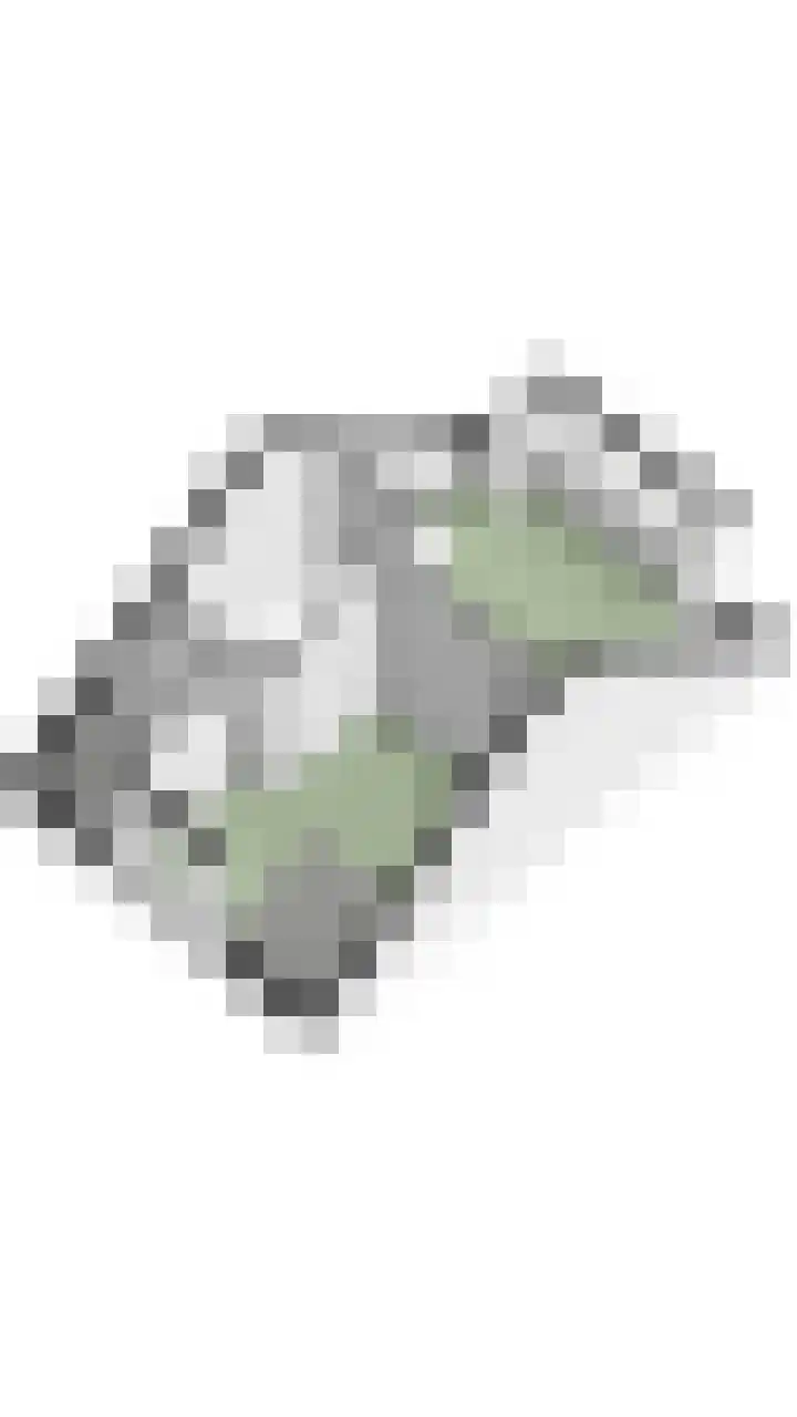 Napoleonshoed 7 Oosterhout thumbnail 45