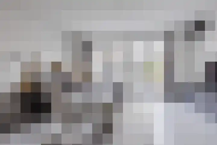 Napoleonshoed 7 Oosterhout thumbnail 5