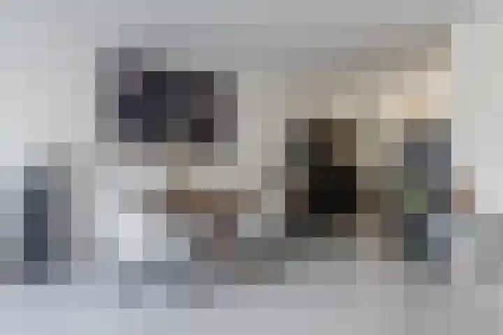 Napoleonshoed 7 Oosterhout thumbnail 6