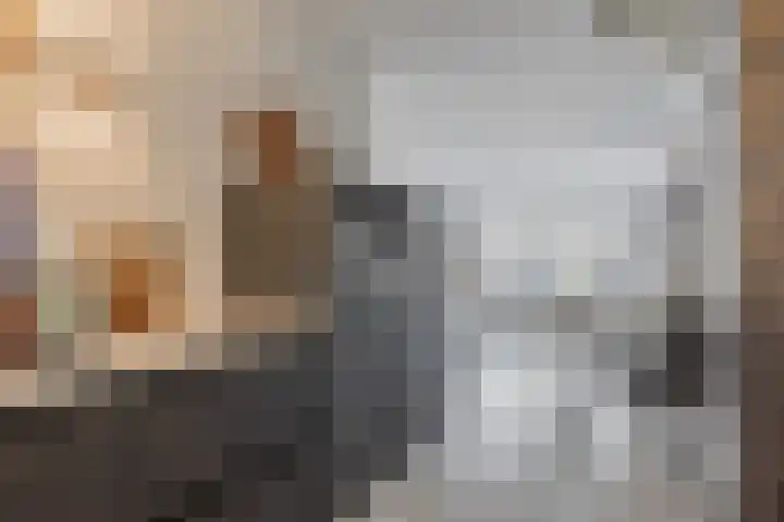 Napoleonshoed 7 Oosterhout thumbnail 8