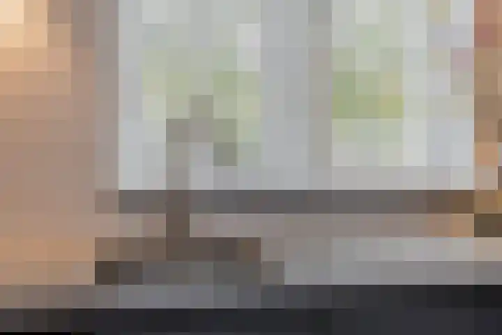 Napoleonshoed 7 Oosterhout thumbnail 9