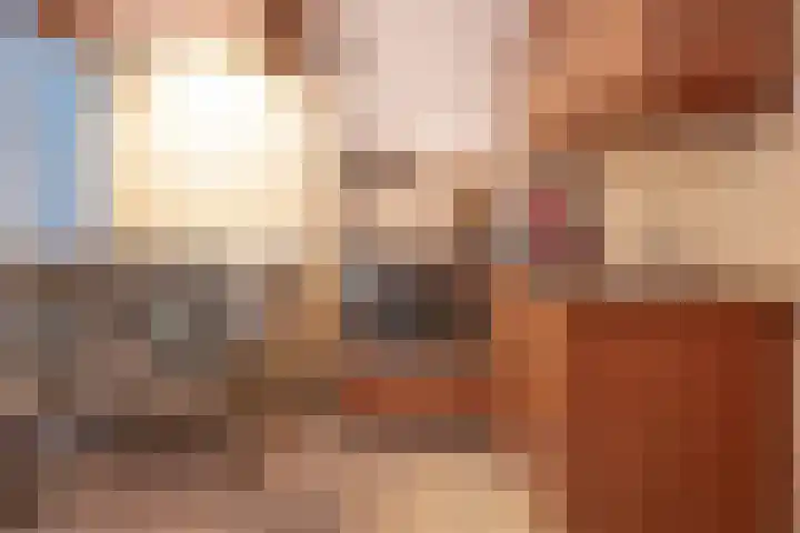 Napoleonsweg 1 Neer thumbnail 22