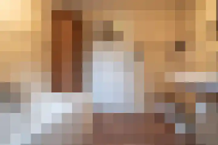 Napoleonsweg 1 Neer thumbnail 27
