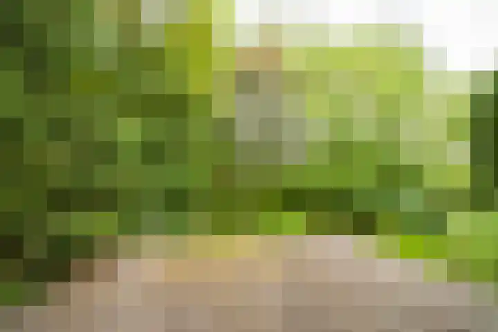 Napoleonsweg 1 Neer thumbnail 31