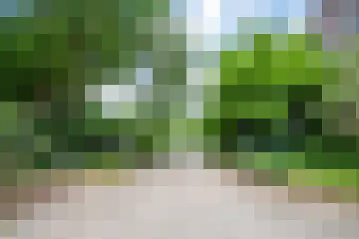 Napoleonsweg 1 Neer thumbnail 32