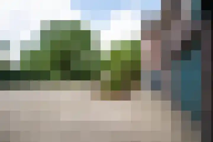 Napoleonsweg 1 Neer thumbnail 33