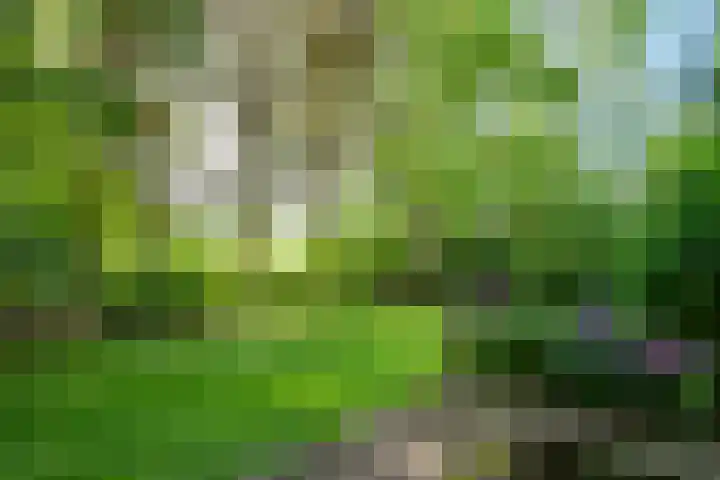 Napoleonsweg 1 Neer thumbnail 34