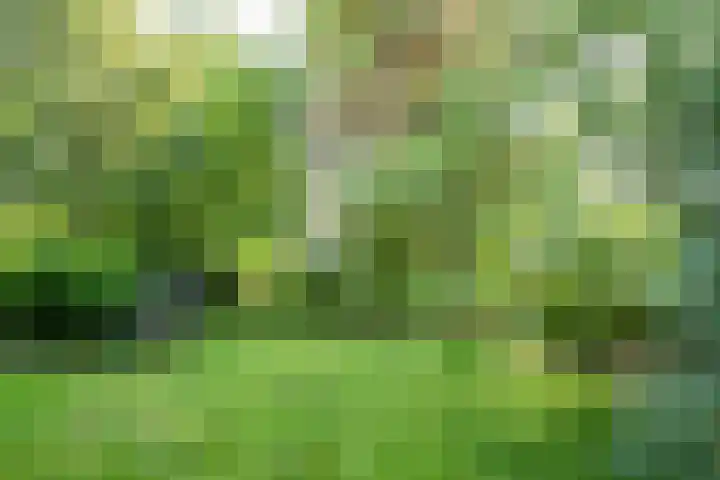 Napoleonsweg 1 Neer thumbnail 37