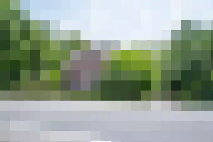 Napoleonsweg 1 Neer thumbnail 5