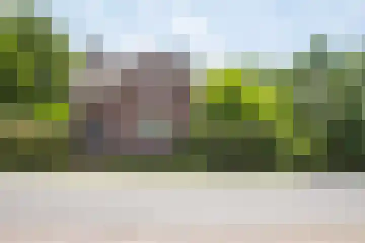 Napoleonsweg 1 Neer thumbnail 52