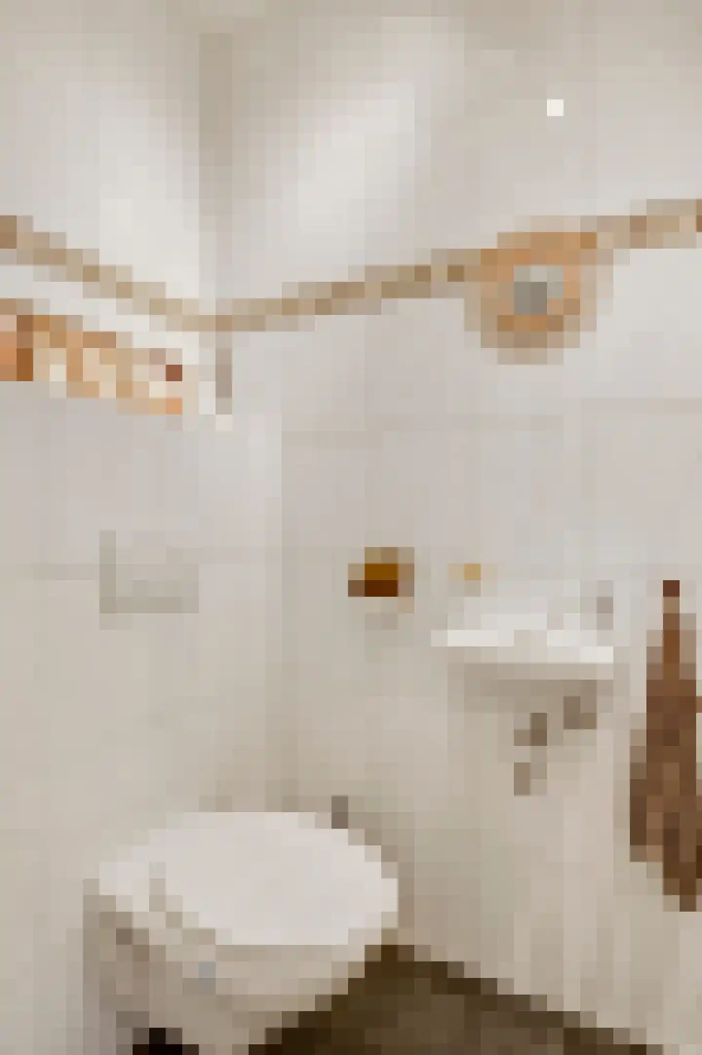 Napoleonsweg 101 a Haelen thumbnail 10