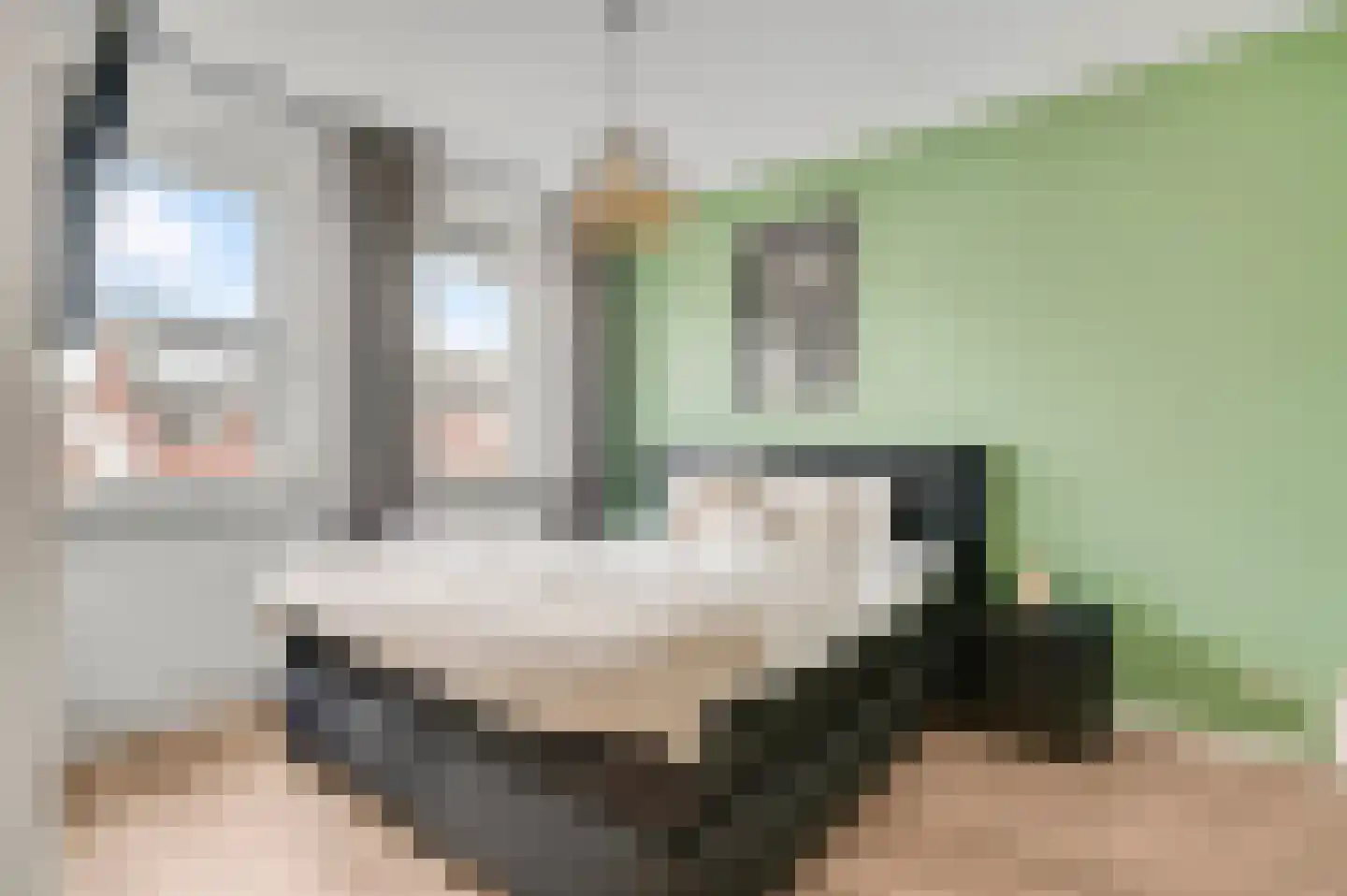 Napoleonsweg 101 a Haelen thumbnail 18