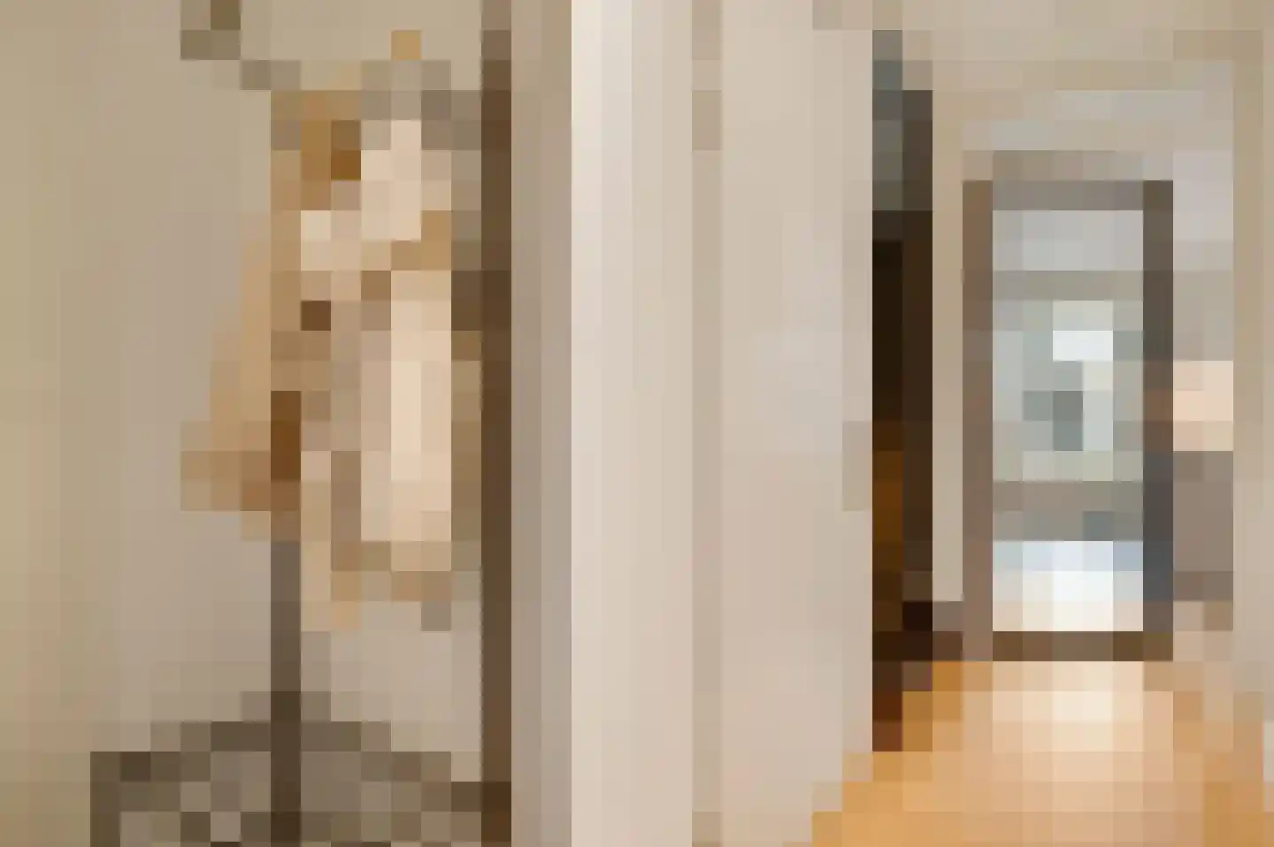 Napoleonsweg 101 a Haelen thumbnail 8