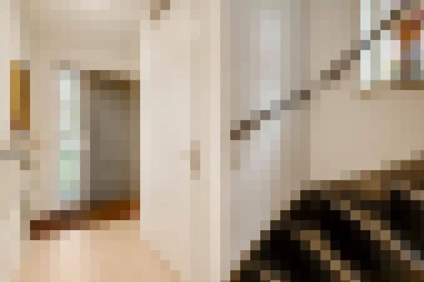 Napoleonsweg 101 a Haelen thumbnail 9
