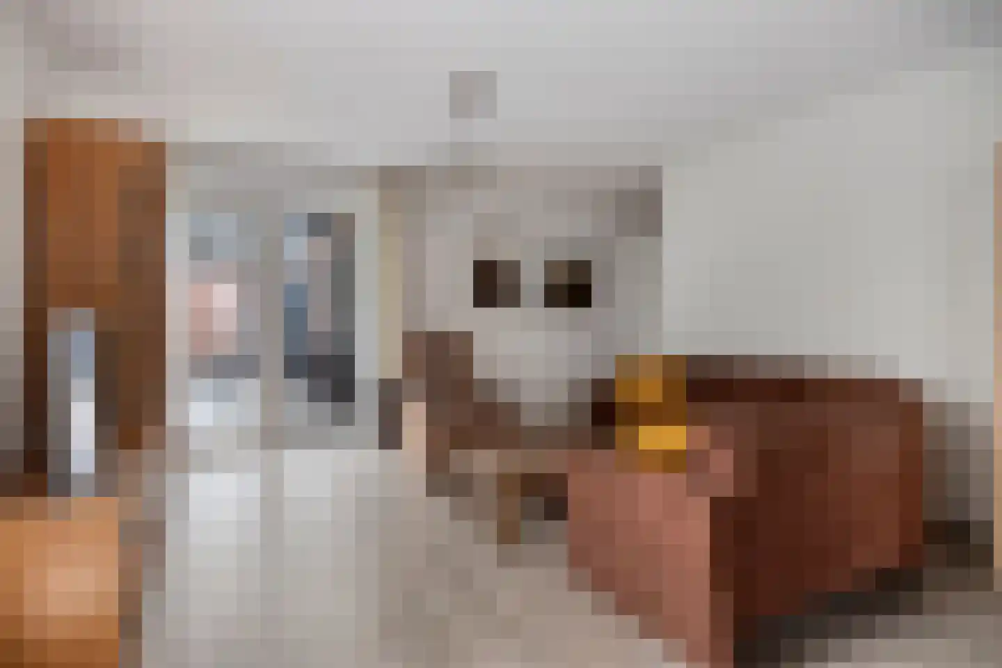 Napoleonsweg 104 Haelen thumbnail 12