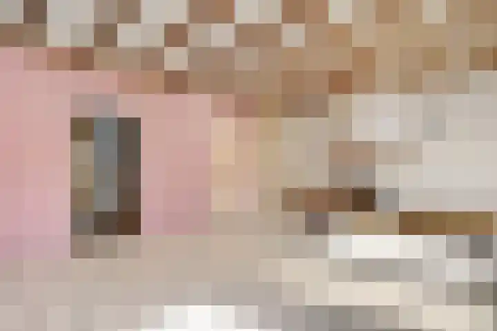 Napoleonsweg 110 Neer thumbnail 10