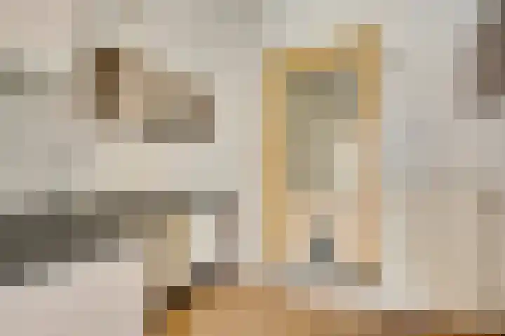 Napoleonsweg 110 Neer thumbnail 11
