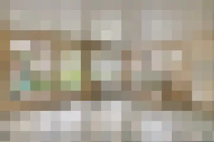 Napoleonsweg 110 Neer thumbnail 13