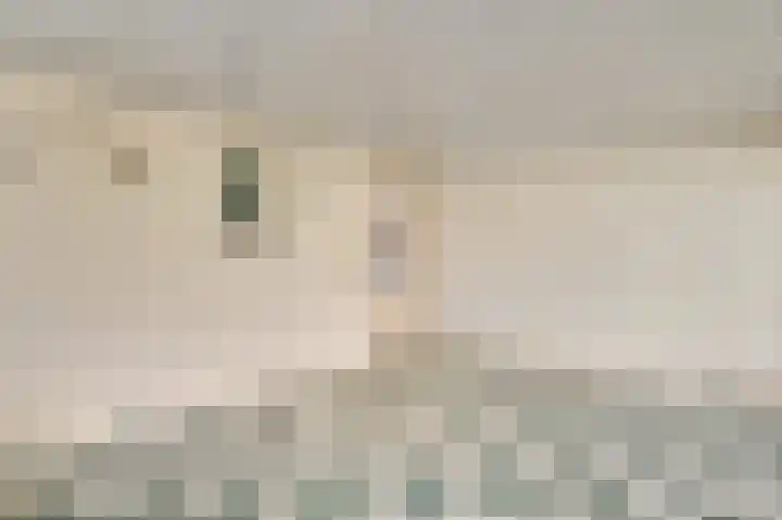 Napoleonsweg 110 Neer thumbnail 14