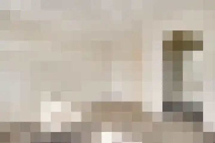 Napoleonsweg 110 Neer thumbnail 17