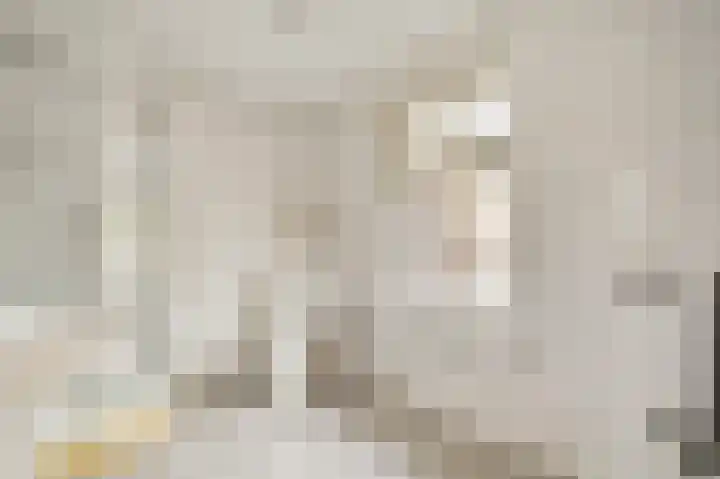 Napoleonsweg 110 Neer thumbnail 18